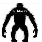 Pourquoi l'évolution a-t-elle éliminé ce singe colossal ?