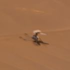  L'hélicoptère martien Ingenuity, endommagé, photographié par le rover Perseverance