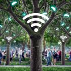 ì Des arbres Wi-Fi: la nouvelle solution pour remplacer la 5G
