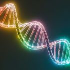 ì Découverte de 17 variants génétiques liés à la maladie d'Alzheimer