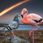 ì Des dinosaures aux oiseaux: cette anomalie de l'ADN a trompé les scientifiques