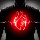 ì Un espoir pour les personnes cardiaques: ces deux molécules modulent la contraction du coeur