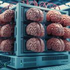 » Cet ordinateur composé de 16 mini-cerveaux humains montre une efficacité impressionnante