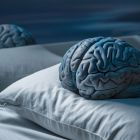 Un circuit cérébral dose finement sommeil profond et hormone de croissance