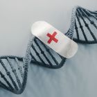 ì SLA, démence et cancer: une origine commune découverte par des chercheurs