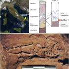 ì Ce que nous révèle le corps de ce bébé de 17 000 ans retrouvé en Italie ´