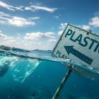 Enfin un plastique qui se décompose intégralement dans la mer et dans le sol 1