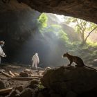 Découverte d'un chat préhistorique miniature: il tenait dans la paume d'une main ! 1