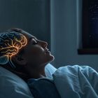 Découverte: voici comment votre cerveau se nettoie pendant que vous dormez à