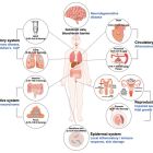 La corrélation alarmante entre microplastiques et maladies ¨