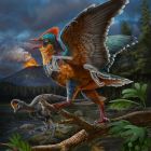 La découverte de ce fossile réécrit l'histoire de l'origine des oiseaux 