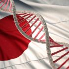 Une nouvelle lignée ancestrale découverte dans l'ADN des Japonais ì