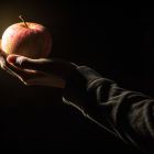 Pourquoi reconnaît-on visuellement un objet qu'on a seulement touché ? @