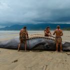 Il y a 20 000 ans, l'Homme fabriquait des outils avec des os de baleines