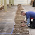  Insolite: Ce musée trouve un fossile de dinosaure... sous son parking !