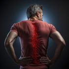 Le rôle caché de la moelle épinière dans la sexualité