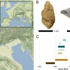 · Ce que révèle la découverte de ces chewing-gums vieux de 6000 ans