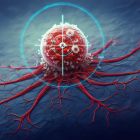 ¯ Aider le système immunitaire à détecter les cellules cancéreuses