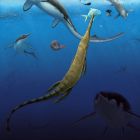 ´ Ce que nous révèle la découverte d'un écosystème marin de 249 millions d'années