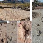  Découverte exceptionnelle de plus de 16 000 empreintes de dinosaures en Bolivie