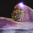   Premières images vidéo d'un virus pénétrant dans une cellule