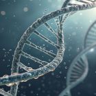 ì La première cartographie 3D du génome humain