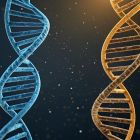 ì Des ossements vieux de 3 700 ans révèlent le plus ancien cas d'inceste père-fille jamais documenté