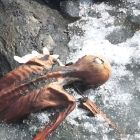 5 300 ans après sa mort, cette momie révèle des microbes encore vivants !