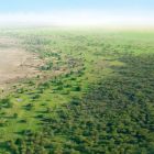 La Chine a planté 66 milliards d'arbres: les conséquences sur notre atmosphère