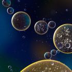 Ils cherchent l'origine de la vie, et synthétisent... un nouveau biocarburant 