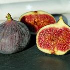  Des guêpes dans les figues ? Ce que dit la science...