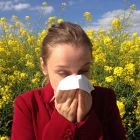 ì Pourquoi certaines personnes sont-elles allergiques au pollen ?