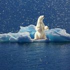 ì L'Arctique pourrait finalement être dépourvu de glace dès 2035 !