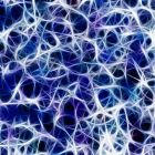 ì Révolution dans l'observation des neurones: vers une meilleure compréhension des maladies dégénératives
