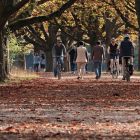 ì L'effet imprévu des arbres sur la qualité de l'air en ville