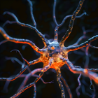 z Au lieu de juste la masquer, traiter à la source la douleur chronique nerveuse