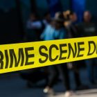  Une étude contredit ce que l'on sait sur l'origine de la violence