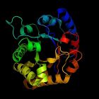 Produire des enzymes sur mesure avec l'IA est désormais possible ì