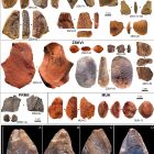  Des Néandertaliens de Crimée utilisaient des crayons d'ocre