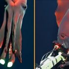 ì Vidéo: ce calmar des profondeurs attaque une caméra, révélant une bioluminescence jamais vue