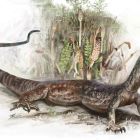  Découverte d'un reptile hybride lézard-serpent en Écosse !