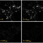 á Découverte: d'autres univers plus propices à la vie que le notre }