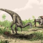 L'origine des dinosaures enfin révélée ? 