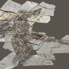  Quand les dinosaures ont oublié comment voler !