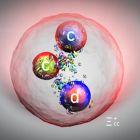 , Le LHC détecte une nouvelle particule, attendue depuis plus de 20 ans