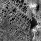 x Une toile d'araignée géante sur Mars