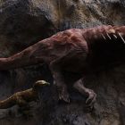  Les tyrannosaures étaient aussi des charognards cannibales