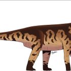  Un curieux dinosaure géant argentin, mélange de deux grandes familles
