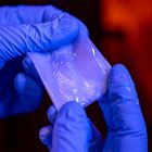 Des bactéries fabriquent sous contrôle un 'plastique bio' aussi résistant que des métaux