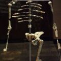 miniature